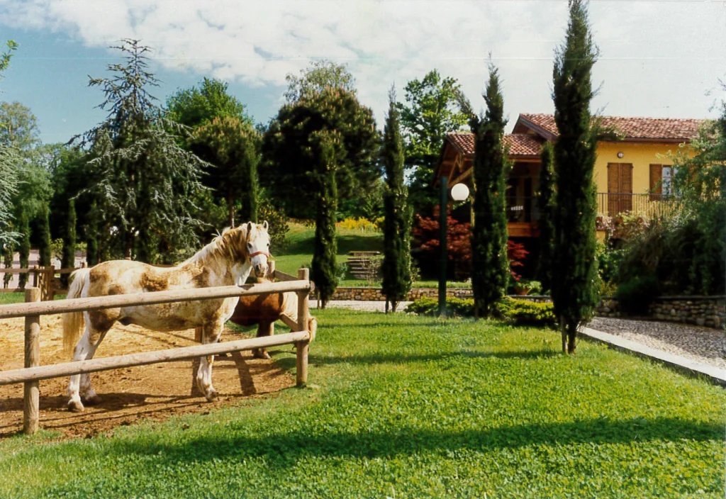 Cavalli nel recinto con la cascina Corte Gelsi sullo sfondo
